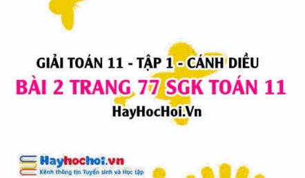 Giải bài 2 trang 77 Toán 11 tập 1 SGK Cánh Diều